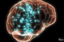 L'élaboration d'une stratégie pour être récompensé repérée dans le cerveau L'élaboration d'une stratégie pour être récompensé repérée dans le cerveau