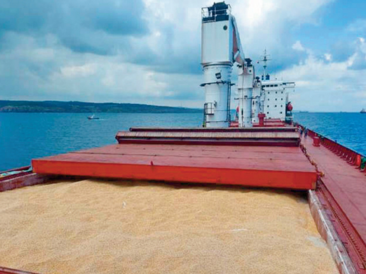 Miser sur le blé de la mer Noire. Etait-ce une bonne idée ? Miser sur le blé de la mer Noire. Etait-ce une bonne idée ?