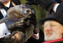 Insolite Insolite