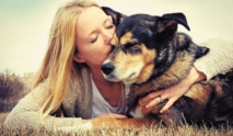 Le chien meilleur ami de l'homme mais pas depuis si longtemps Le chien meilleur ami de l'homme mais pas depuis si longtemps