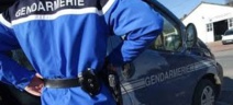 Insolite : Couple irresponsable Insolite : Couple irresponsable