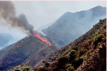 L'incendie de la forêt de Maghraoua totalement maitrisé L'incendie de la forêt de Maghraoua totalement maitrisé