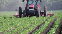 Appel à tous les intervenants du secteur agricole à fédérer leurs efforts Appel à tous les intervenants du secteur agricole à fédérer leurs efforts
