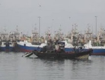Le port de Tan Tan se dote d'une nouvelle halle aux poissons Le port de Tan Tan se dote d'une nouvelle halle aux poissons