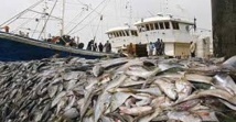 La mise en œuvre de l’accord de pêche avec l’UE “globalement satisfaisante” La mise en œuvre de l’accord de pêche avec l’UE “globalement satisfaisante”