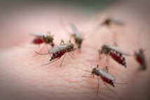 Traquer parasites et virus avec des satellites pour prévoir les épidémies Traquer parasites et virus avec des satellites pour prévoir les épidémies