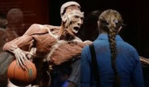 Insolite : Musée de cadavres Insolite : Musée de cadavres