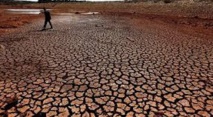 Le réchauffement rend incertaine la sécurité alimentaire mondiale dans les prochaines décennies Le réchauffement rend incertaine la sécurité alimentaire mondiale dans les prochaines décennies