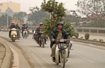 Au Vietnam, même les kumquats du Nouvel An sont victimes des pesticides Au Vietnam, même les kumquats du Nouvel An sont victimes des pesticides