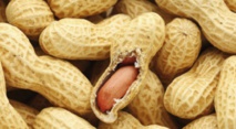 Faire manger de l'arachide aux nourrissons réduit les allergies Faire manger de l'arachide aux nourrissons réduit les allergies