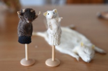Quand les dépouilles d’animaux font le bonheur d’artistes néerlandais Quand les dépouilles d’animaux font le bonheur d’artistes néerlandais