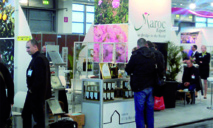 Participation marocaine au Salon Biofach 2015