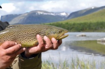 ​La production de poissons d’eau douce au secours des revenus des pêcheurs