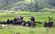 Appel à une utilisation plus efficiente des ressources naturelles Appel à une utilisation plus efficiente des ressources naturelles