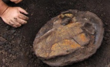 ​Des fossiles de crocodiles vieux de 13 millions d'années découverts en Amazonie