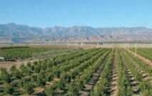 Journée d’étude sur l’offre exportable de la région Fès-Boulemane Journée d’étude sur l’offre exportable de la région Fès-Boulemane