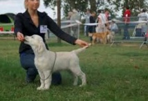 Insolite Insolite