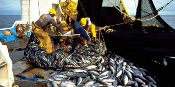 Recherche halieutique: Une innovation marocaine primée à Malte Recherche halieutique: Une innovation marocaine primée à Malte