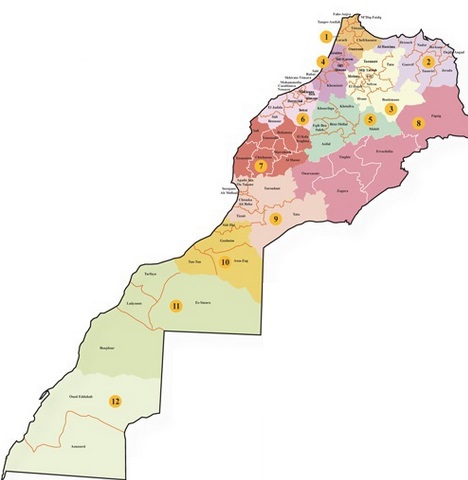 Le projet de loi organique relatif aux régions remis sur le métier Le projet de loi organique relatif aux régions remis sur le métier