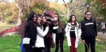 Insolite Insolite