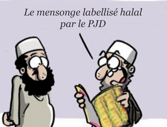 Les viles allégations mensongères du PJD concernant Driss Lachguar Les viles allégations mensongères du PJD concernant Driss Lachguar
