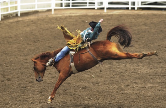 Les festivals à voir une fois dans sa vie : Le stampede de Calgary (Canada)