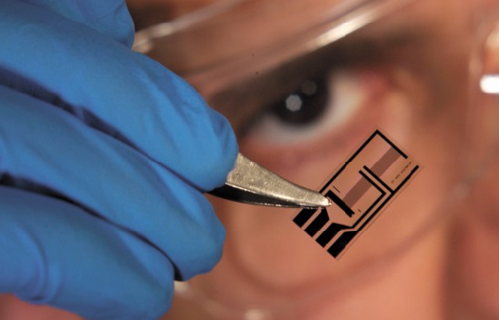 Les derniers progrès scientifiques passés en revue à Marrakech Les derniers progrès scientifiques passés en revue à Marrakech