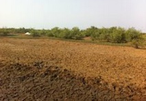 Les opportunités d’investissement en Afrique subsaharienne Les opportunités d’investissement en Afrique subsaharienne