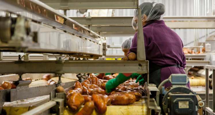 L’activité industrielle poursuit sa progression en septembre L’activité industrielle poursuit sa progression en septembre