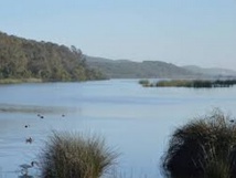 La richesse floristique des zones humides estimée à plus de 670 espèces et sous-espèces La richesse floristique des zones humides estimée à plus de 670 espèces et sous-espèces
