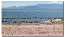 La Salton Sea, bombe à retardement écologique dans le désert de Californie La Salton Sea, bombe à retardement écologique dans le désert de Californie