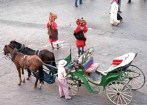 Les activités agricoles à la rescousse… Les activités agricoles à la rescousse…