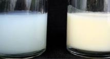 Du lait de vache ajouté dans 10% des laits maternels vendus sur Internet Du lait de vache ajouté dans 10% des laits maternels vendus sur Internet