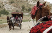 Derrière la carte postale, la souffrance des chevaux de Pétra Derrière la carte postale, la souffrance des chevaux de Pétra