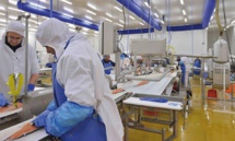 Remise des trophées de la 1ère formation en cours d'emploi du secteur agroalimentaire Remise des trophées de la 1ère formation en cours d'emploi du secteur agroalimentaire