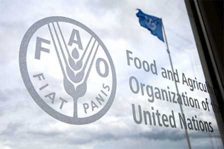 Les prévisions pour la production mondiale de céréales en 2023 maintenues à 2. 819 millions de tonnes