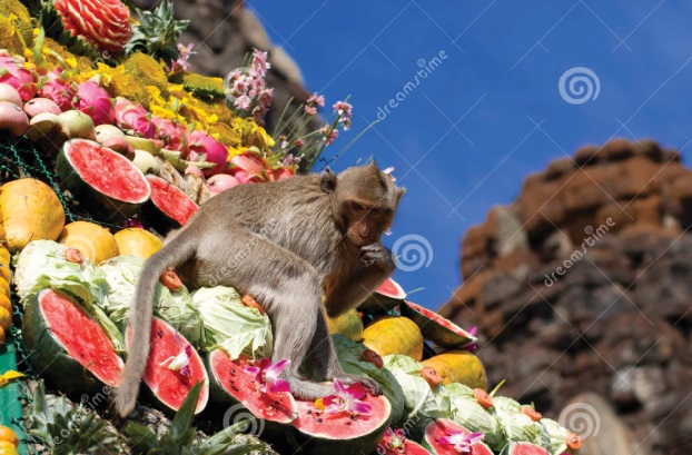 Les festivals à voir une fois dans sa vie : Le buffet des singes (Thaïlande) Les festivals à voir une fois dans sa vie : Le buffet des singes (Thaïlande)