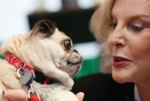 Entre l'homme et le chien, l'amour est dans le regard Entre l'homme et le chien, l'amour est dans le regard