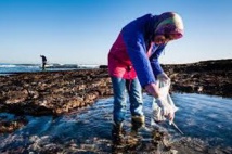 ​Etat des lieux des recherches écotoxicologiques au Maroc