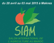 Une rencontre dédiée à la PME exportatrice au SIAM 2015 Une rencontre dédiée à la PME exportatrice au SIAM 2015