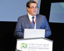 Les 8èmes Assises nationales de l’agriculture aux couleurs internationales Les 8èmes Assises nationales de l’agriculture aux couleurs internationales