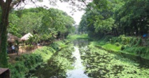 Une forêt tropicale foisonne à Manille entre dépotoir et bidonville Une forêt tropicale foisonne à Manille entre dépotoir et bidonville