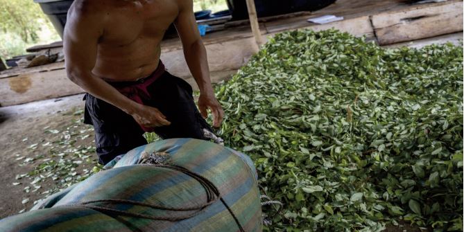 La Colombie dispose d'une solution de rechange à la guerre contre la drogue La Colombie dispose d'une solution de rechange à la guerre contre la drogue
