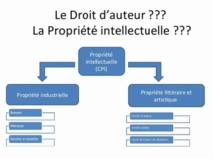 Les propriétés intellectuelle, industrielle et commerciale en question Les propriétés intellectuelle, industrielle et commerciale en question