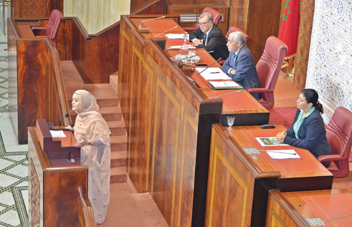 Hasna Abouzaid tacle Ramid au Parlement Hasna Abouzaid tacle Ramid au Parlement