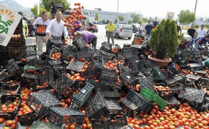 Le lobby espagnol poursuit sa croisade contre les tomates marocaines Le lobby espagnol poursuit sa croisade contre les tomates marocaines