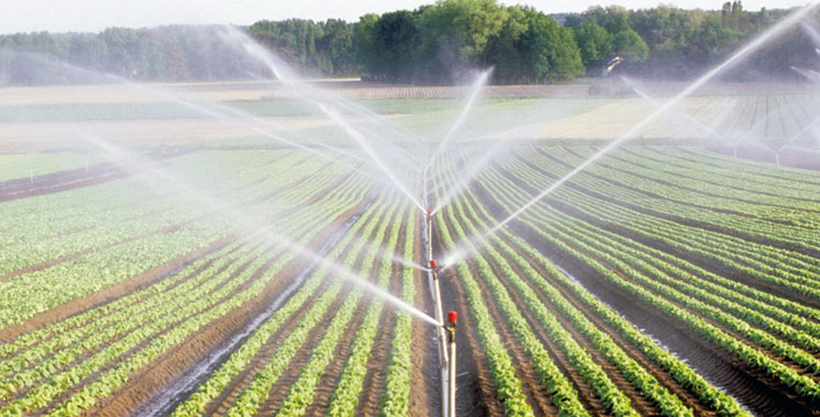 Campagne agricole : Le volume de pluviométrie atteint 77 mm, en baisse de 44% Campagne agricole : Le volume de pluviométrie atteint 77 mm, en baisse de 44%