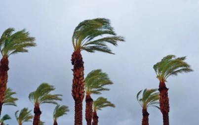 Fortes pluies localement orageuses et rafales de vent vendredi dans plusieurs provinces du Royaume Fortes pluies localement orageuses et rafales de vent vendredi dans plusieurs provinces du Royaume