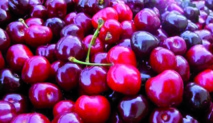 Le temps des cerises à Sefrou Le temps des cerises à Sefrou