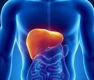 Une équipe médicale du CHU Ibn Sina de Rabat réussit une opération de greffe de foie Une équipe médicale du CHU Ibn Sina de Rabat réussit une opération de greffe de foie